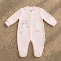 Newborn Rabbit