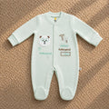 Newborn Bear