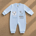Baby Bear